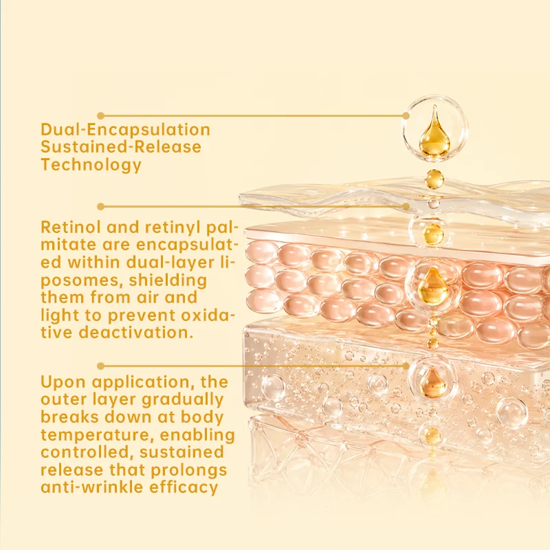 Illustration of dual-layer liposomes encapsulating retinol and retinyl palmitate for sustained release and anti-wrinkle efficacy.